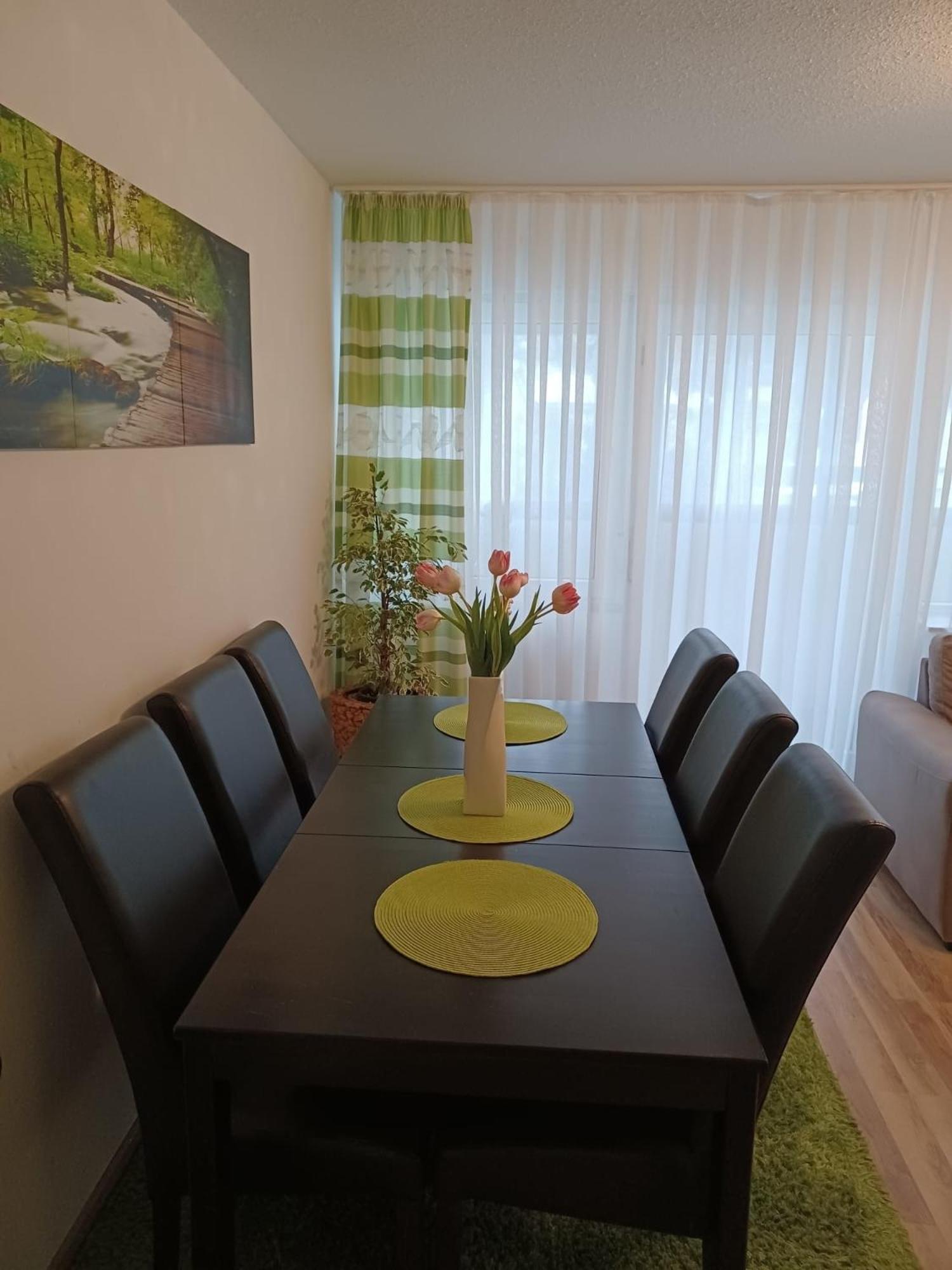 H&A Apartment Baden Baden 外观 照片